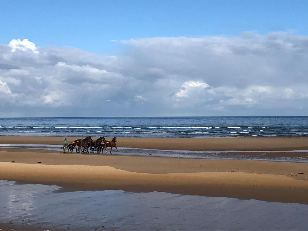 Etreham Maison Proche Omaha Beach Vue Imprenable Sur Haras מראה חיצוני תמונה